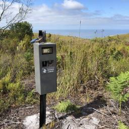 01-camera-trap_original